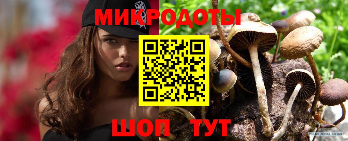 Ухта  Псилоцибиновые грибы мицелий  Вход с VPN 